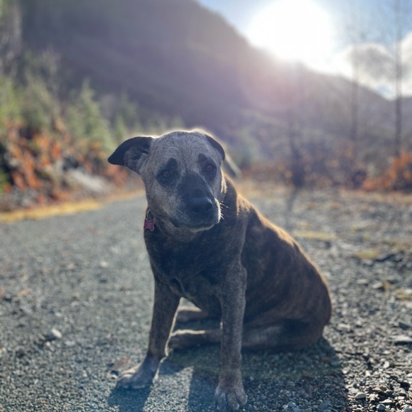 Meet your Posher, Amanda - Picture 1 of 1